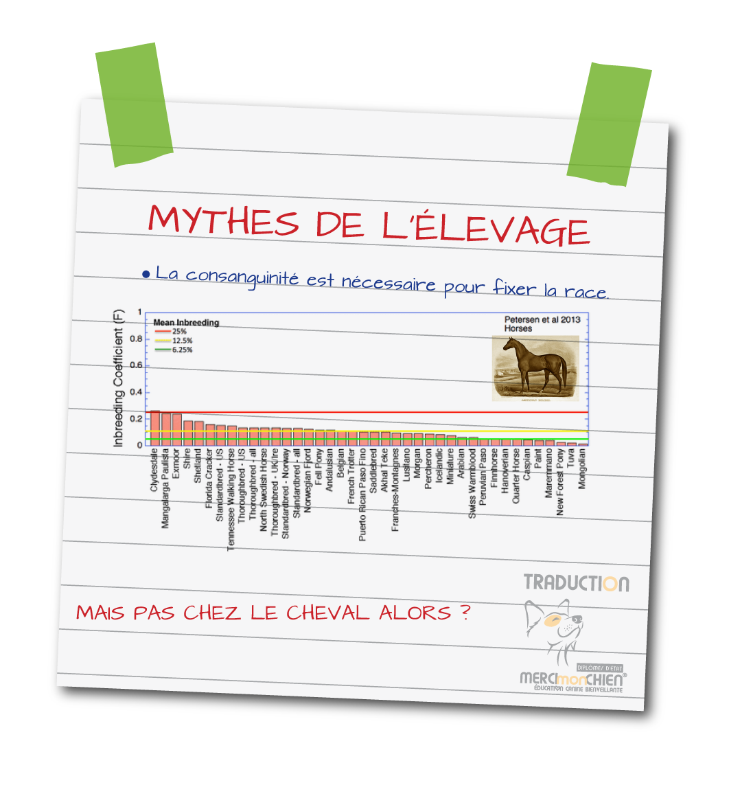 mythe de l elevage 3b