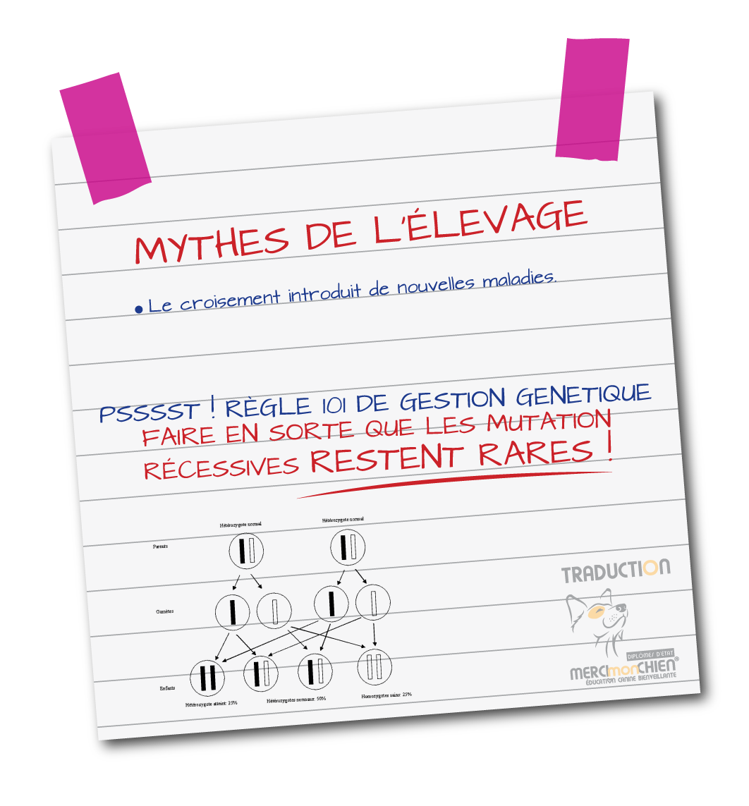 mythe de l elevage 7b